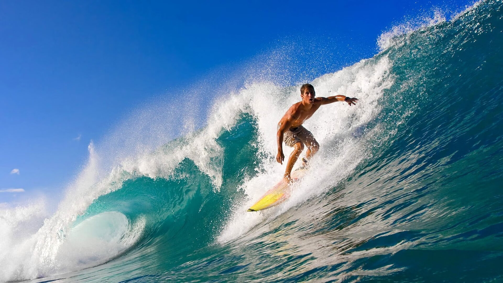 青少年体育人才选拔方案,青少年体育人才培养