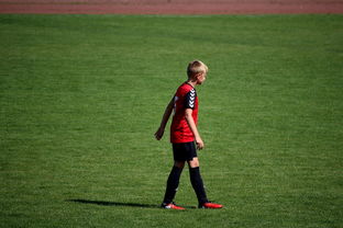 乐鱼体育-世界青年滑板锦标赛中国少年夺奖，青少年滑板联赛