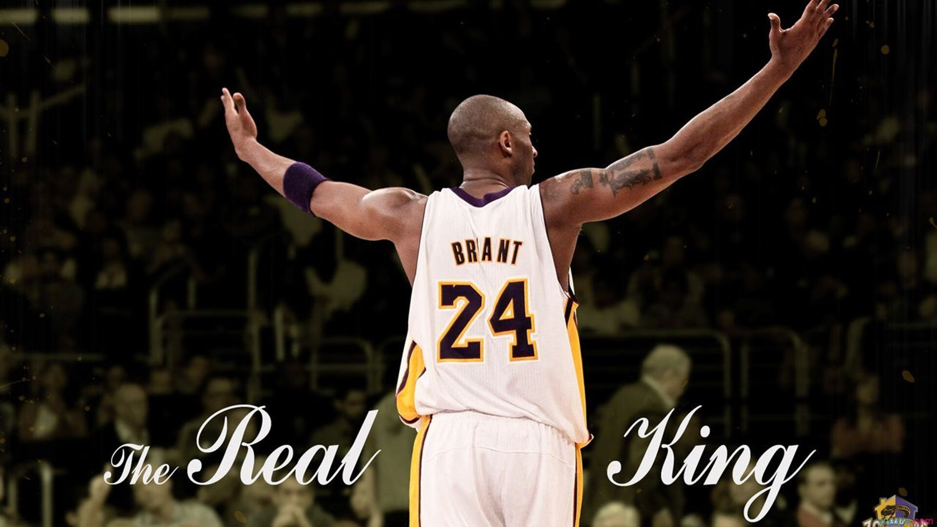 中国篮球教练员职业发展规划与培训体系构建,篮球教练员的职业素养